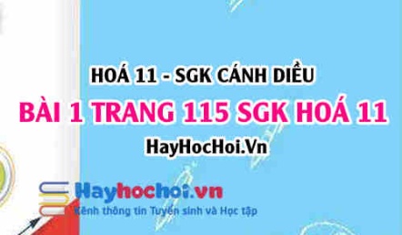 Bài 1 trang 115 SGK Hoá 11 Cánh diều